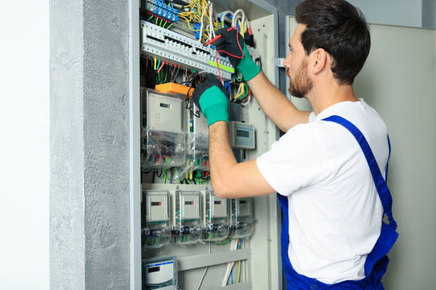 Best Electric Panel Repair  in Round Lake, IL